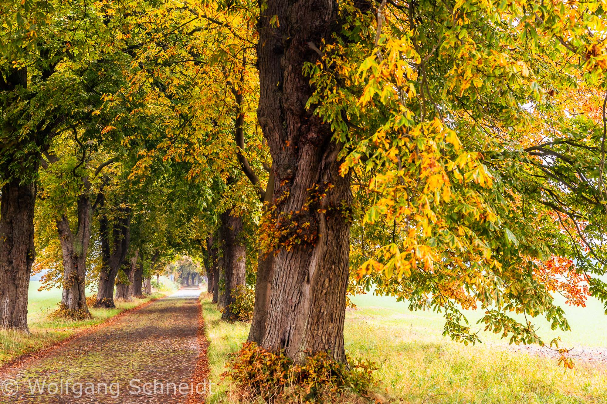 Fotoreise Ostsee 2024
